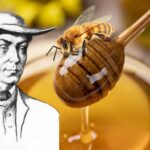 Anton Jansch apicultor