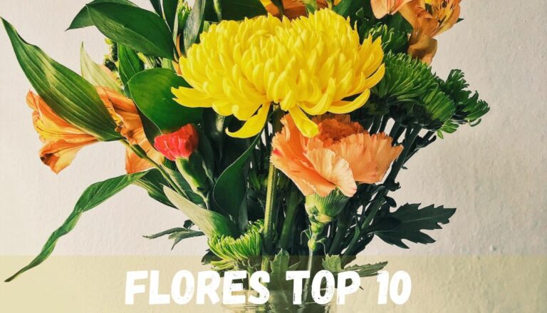flores top 10 mais populares