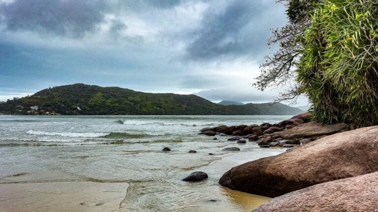 A Importância da Conservação da Biodiversidade em Ecossistemas Aquáticos