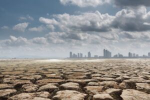Como a Mudança Climática Afecta oπούoereotype