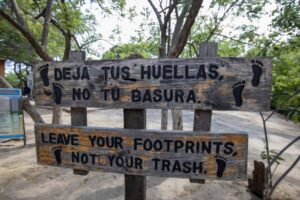 Guia Prático para Reduzir seu Péssimo Ecological Footprint