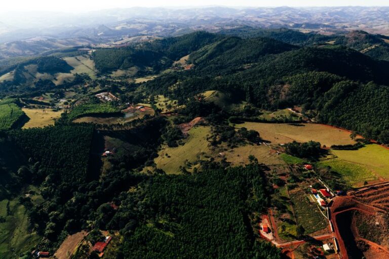 O Impacto das Atividades Humanas nos Ecossistemas Terrestres