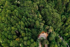 O Papel da Tecnologia na Conservação dos Recursos Naturais