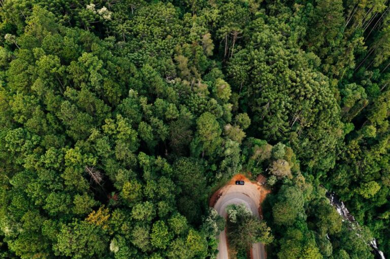 O Papel da Tecnologia na Conservação dos Recursos Naturais