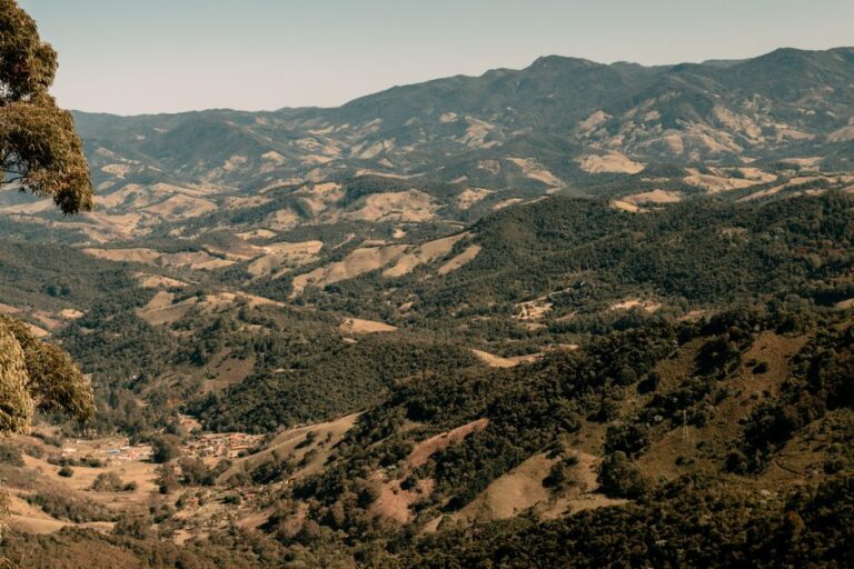 O Poder da Agroecologia na Preservação do Solo