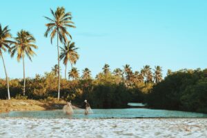 Como Reduzir o Impacto da Síndrome do Nilo no Meio Ambiente: 5 Dicas Práticas para Proteger o Ecossistema Aquático